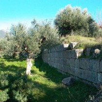 Remains of olive presses in ancient Thouria of Messenia