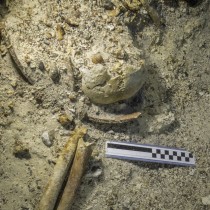 Ancient Skeleton discovered at the Antikythera Shipwreck