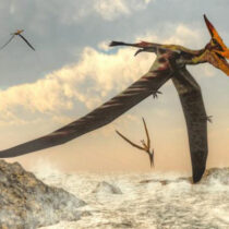 Pterosaur precursors fills a gap in early evolutionary history